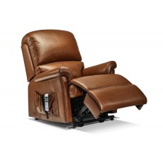 Nevada Small 2-motor Electric Riser Recliner Leather1 Nevada Small 2-motor Electric Riser Recliner Leather1