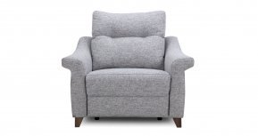 Snuggler Chair W Grade Cover