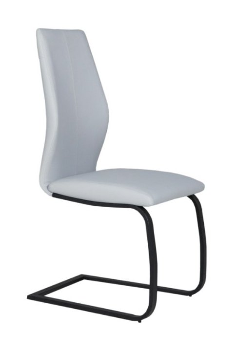 Salix Collection Dining Chair - Black Power Coated Legs - Silver