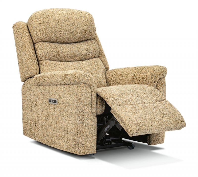 Leyburn Standard 2-motor Electric Riser Recliner Fabric1