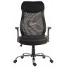 Curve Mesh contemporary high back mesh executive chair Contemporary high back mesh executive chair