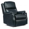 Dakota Standard Chair Leather 1